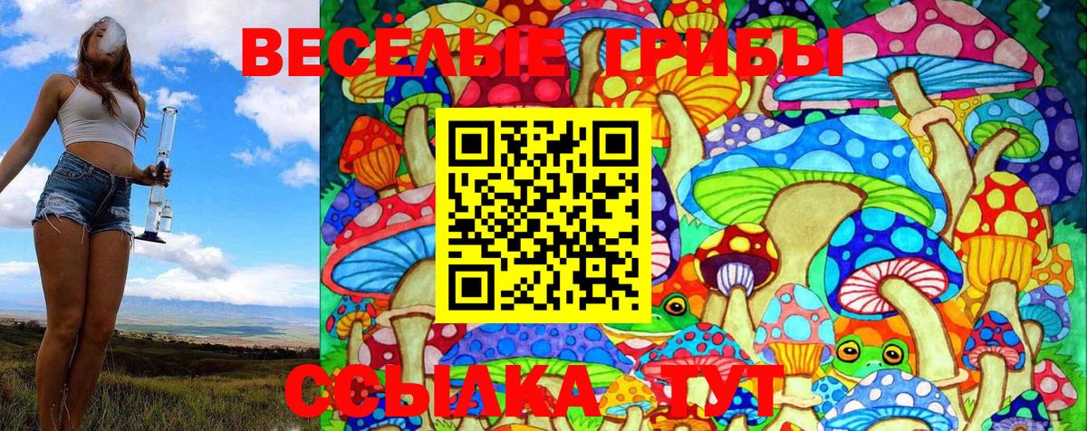Галлюциногенные грибы GOLDEN TEACHER Лениногорск