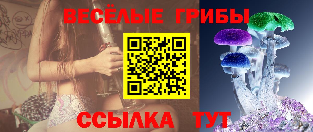 цена наркотик  Галлюциногенные грибы GOLDEN TEACHER  Лениногорск  Вход с VPN  Галлюциногенные грибы GOLDEN TEACHER 